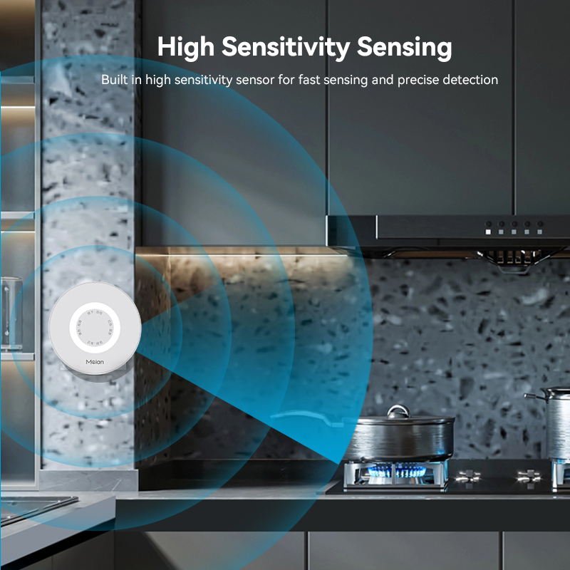 Meian Zigbee-Detector de Gas T - Home Security Tools reseña y precio