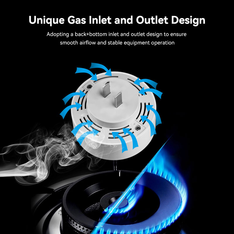 Meian Zigbee-Detector de Gas T - Home Security Tools reseña y precio