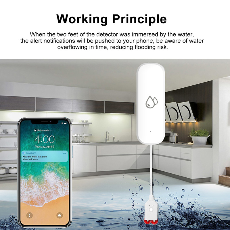 Sensor de Alarma de Fugas de A - Home Security With Monitoring reseña y precio