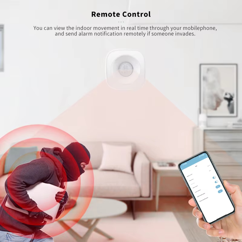 Tuya ZigBee/WiFi PIR Sensor de - Home Security Tools reseña y precio