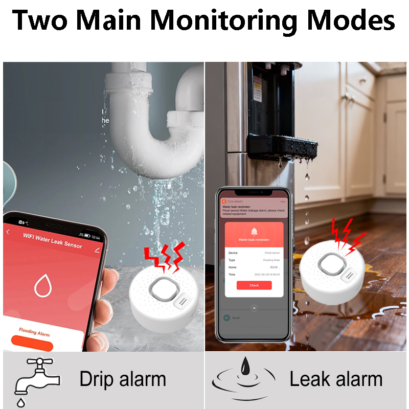 Detector Inteligente de Fugas  - Home Security Options reseña y precio