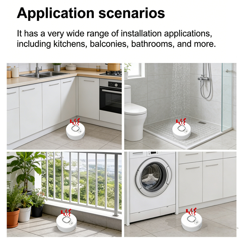 Detector Inteligente de Fugas  - Home Security Options reseña y precio